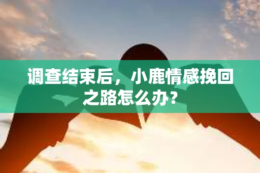 调查结束后，小鹿情感挽回之路怎么办？