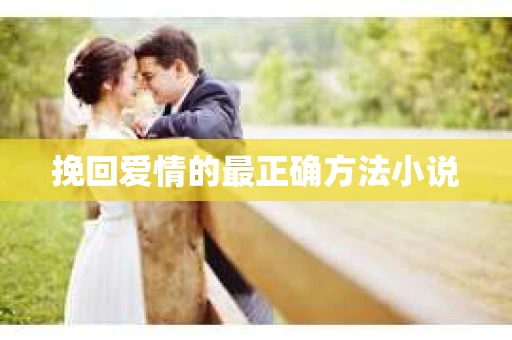 挽回爱情的最正确方法小说