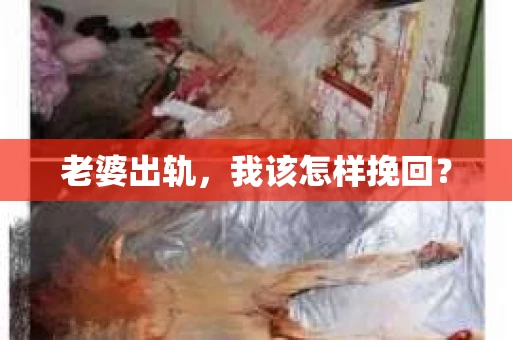 老婆出轨，我该怎样挽回？