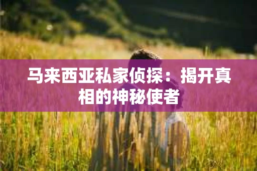 马来西亚私家侦探：揭开真相的神秘使者