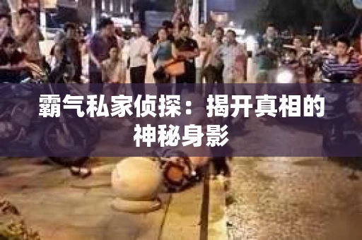 霸气私家侦探：揭开真相的神秘身影