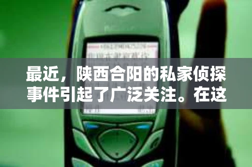 最近，陕西合阳的私家侦探事件引起了广泛关注。在这个信息爆炸的时代，隐私保护显得尤为重要。今天，我们就来聊聊这个事件，看看它背后的一些故事。