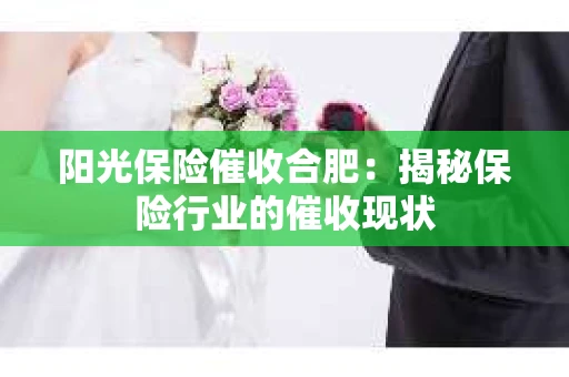 阳光保险催收合肥：揭秘保险行业的催收现状