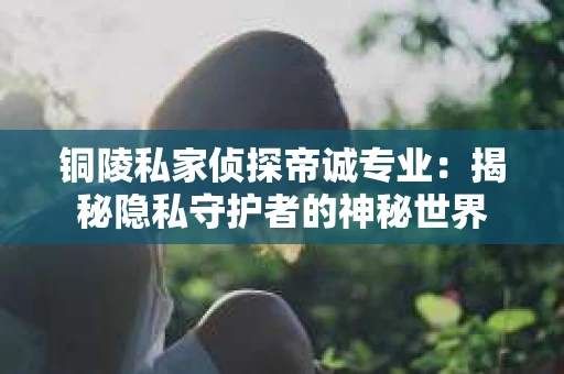 铜陵私家侦探帝诚专业：揭秘隐私守护者的神秘世界
