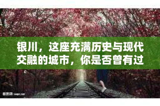 银川，这座充满历史与现代交融的城市，你是否曾有过这样的疑问：银川有私家侦探公司吗？今天，就让我带你一起揭开这个谜团。