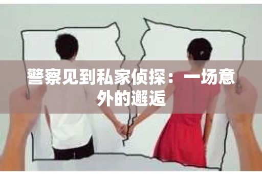 警察见到私家侦探：一场意外的邂逅