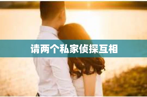 请两个私家侦探互相