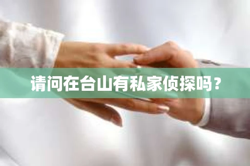请问在台山有私家侦探吗？