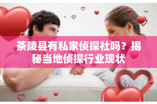 茶陵县有私家侦探社吗？揭秘当地侦探行业现状