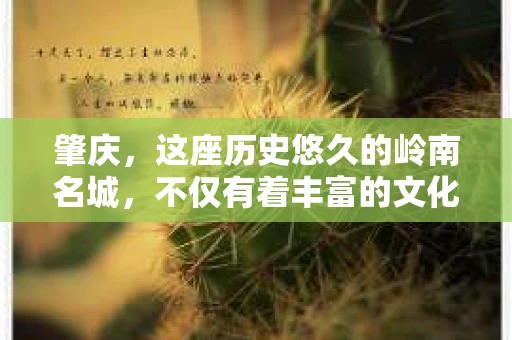 肇庆，这座历史悠久的岭南名城，不仅有着丰富的文化遗产，还有着独特的现代生活节奏。在这个城市里，你是否曾有过需要帮助解决一些棘手问题的时候？或许，你听说过肇庆有私家侦探，那么，他们究竟是怎样的存在呢？