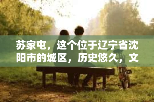 苏家屯，这个位于辽宁省沈阳市的城区，历史悠久，文化底蕴深厚。近年来，随着社会的发展，人们对于私家侦探的需求也逐渐增加。那么，苏家屯有私家侦探吗？今天，我们就来聊聊这个话题。