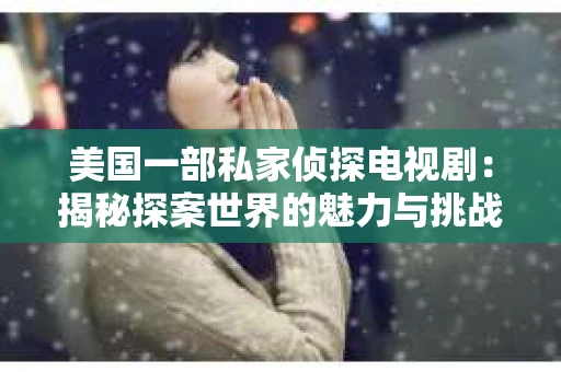 美国一部私家侦探电视剧：揭秘探案世界的魅力与挑战