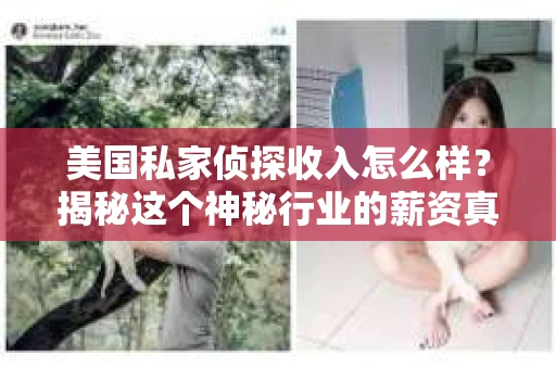 美国私家侦探收入怎么样？揭秘这个神秘行业的薪资真相