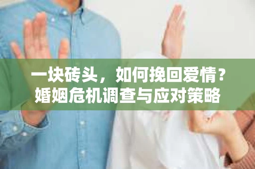 一块砖头，如何挽回爱情？婚姻危机调查与应对策略
