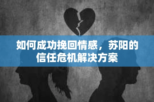 如何成功挽回情感，苏阳的信任危机解决方案