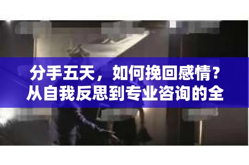 分手五天，如何挽回感情？从自我反思到专业咨询的全面解决方案