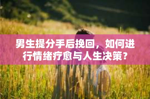 男生提分手后挽回，如何进行情绪疗愈与人生决策？