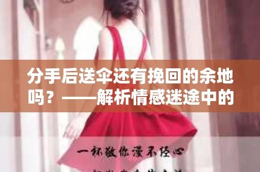 分手后送伞还有挽回的余地吗？——解析情感迷途中的决策