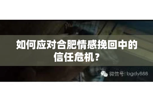 如何应对合肥情感挽回中的信任危机？